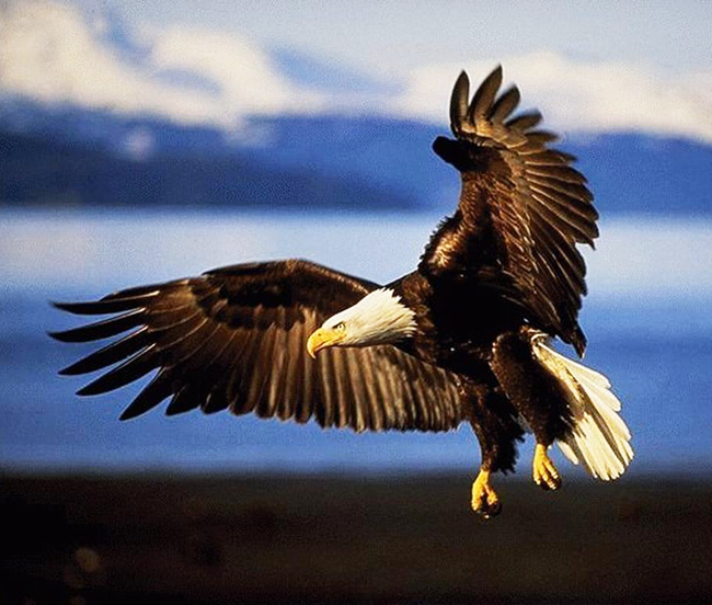 2014最強激勵影片