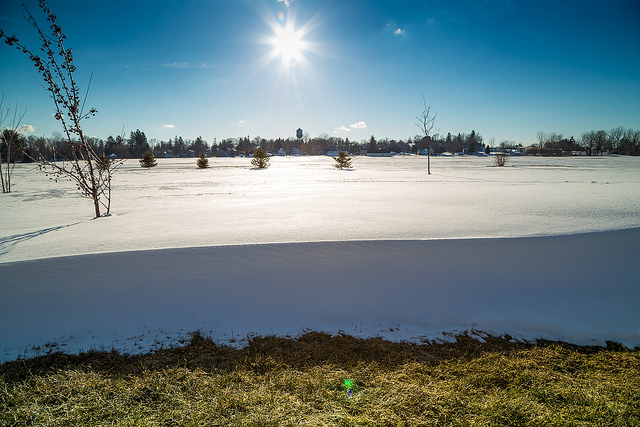 早安！失業的人生！