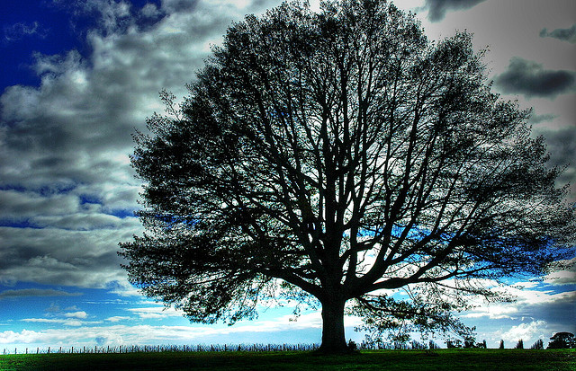 為何真相就在眼前，我們卻看不見？