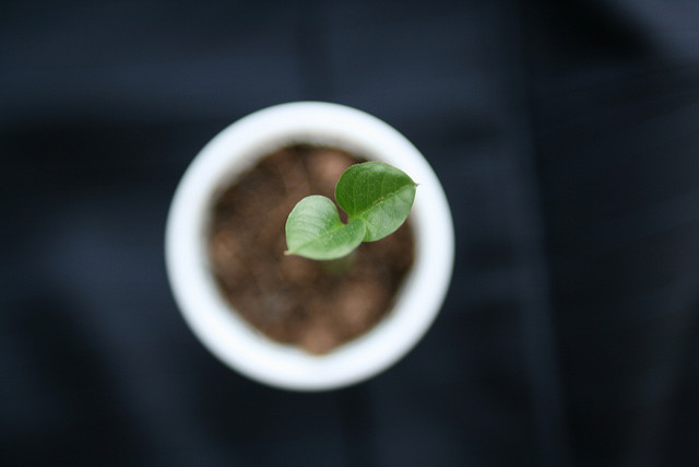 包容別人讓自己成長