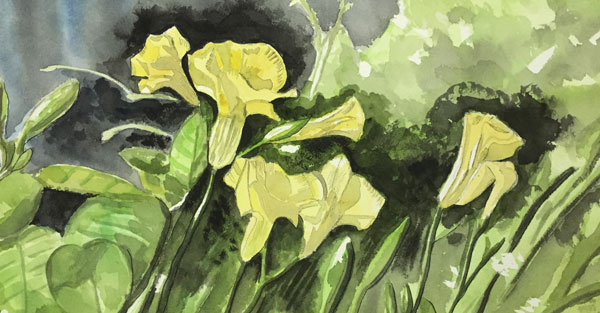 她的溫柔 我的哀愁