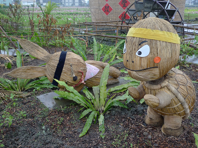 原來兔子不睡覺還是會跑輸烏龜...