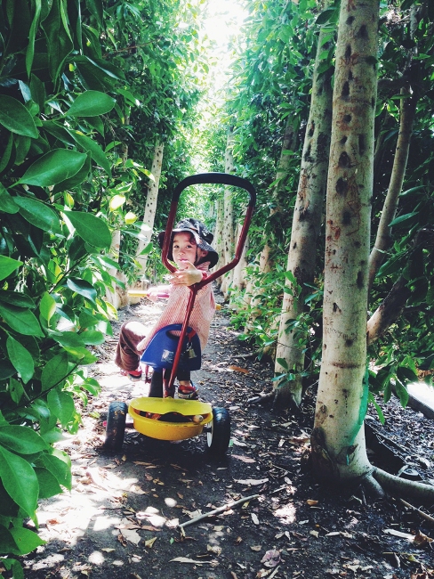 親近媽媽的時光