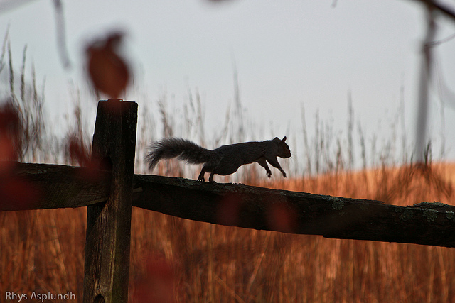 陪孩子走過生涯探索6大階段