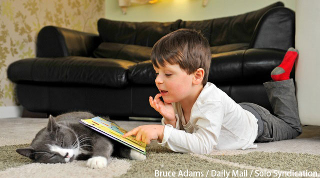 不會言語的動物，卻擁有改變人的溫柔力量
