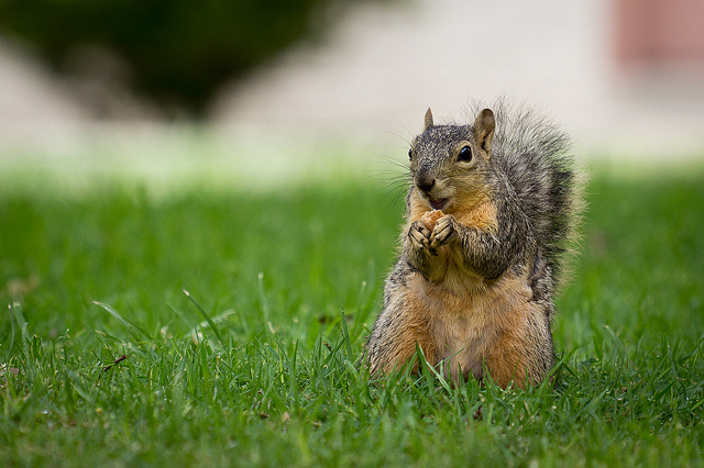 來吧！先從建立關係開始