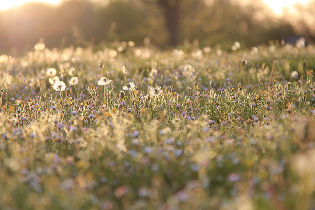 老師都是乖乖牌?