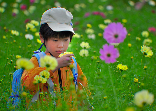 你如何教導孩子對錢的觀念？