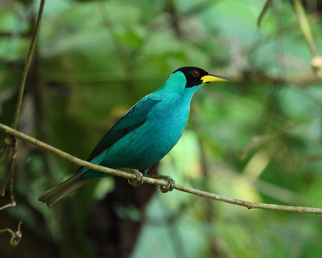 我們是偏藍還是偏綠？