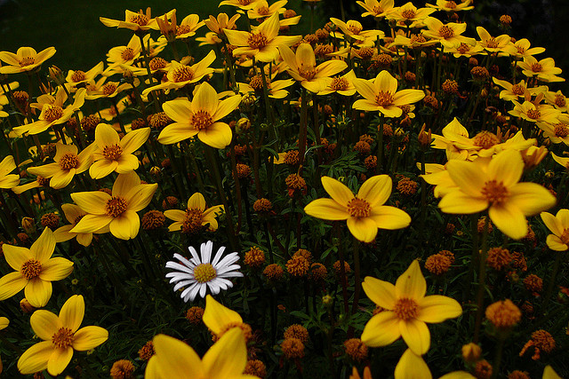 高中生的職涯探索