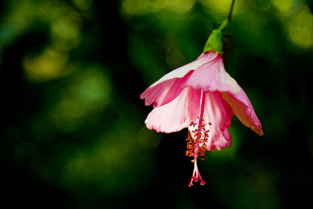 先低頭認識自己的錯誤，才能看清遠方的成功