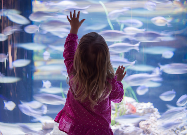 不要教孩子用人生的熱情來交換成績 