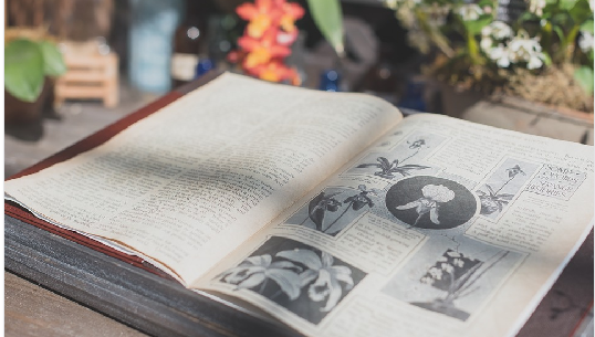 上班族 職場加分的英文檢定考 