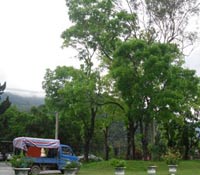 不只是校長-台東桃源國小鄭漢文校長