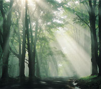 搶救地球變成地球村全民運動