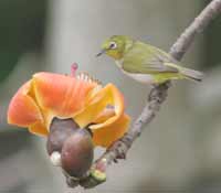 打開眼睛擁抱自然