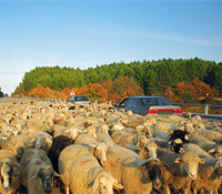 應許一個人類永續的未來