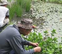 為土地種一個希望