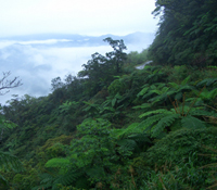 面對自然資源有限性的挑戰