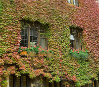 氣候變遷財正在英國發光發熱