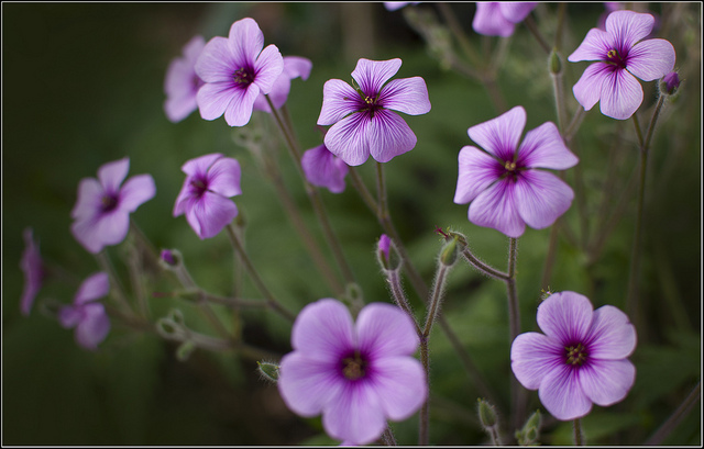 帶著一生的準備前來