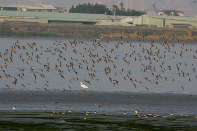 實質圈護自然荒野探討