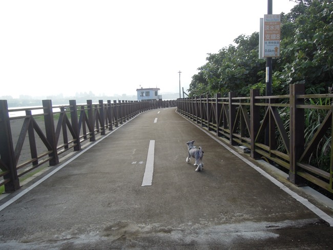 回到蓋亞的懷裡