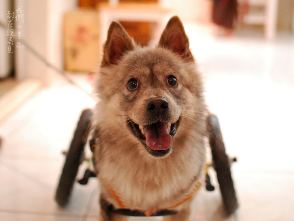 如果我看起來很開心，那是因為你們讓我看到希望