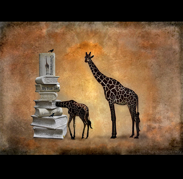 你的作為正在影響他人的生命軌跡