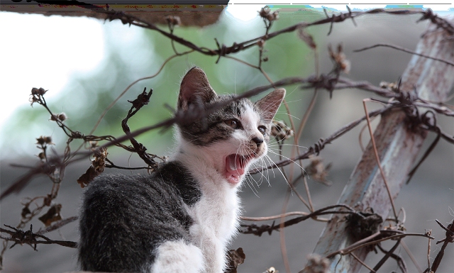 與你相遇，是我人生最美好的事