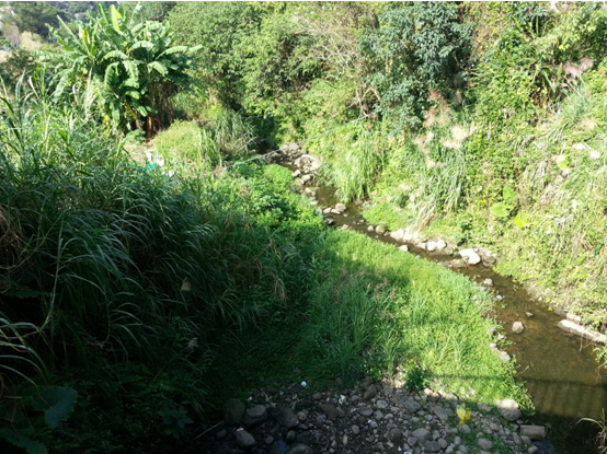 不能用泡沫判斷洗淨力