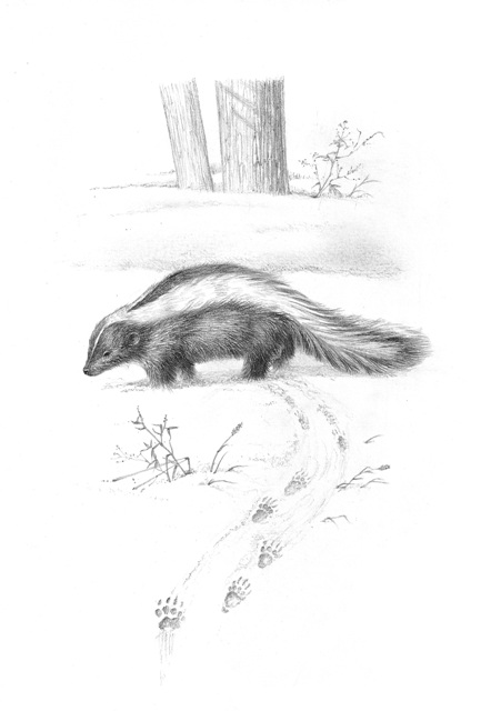 我知道一幅畫，揮舞畫筆的是一條河流，我知道一首歌，揮舞歌唱的是風