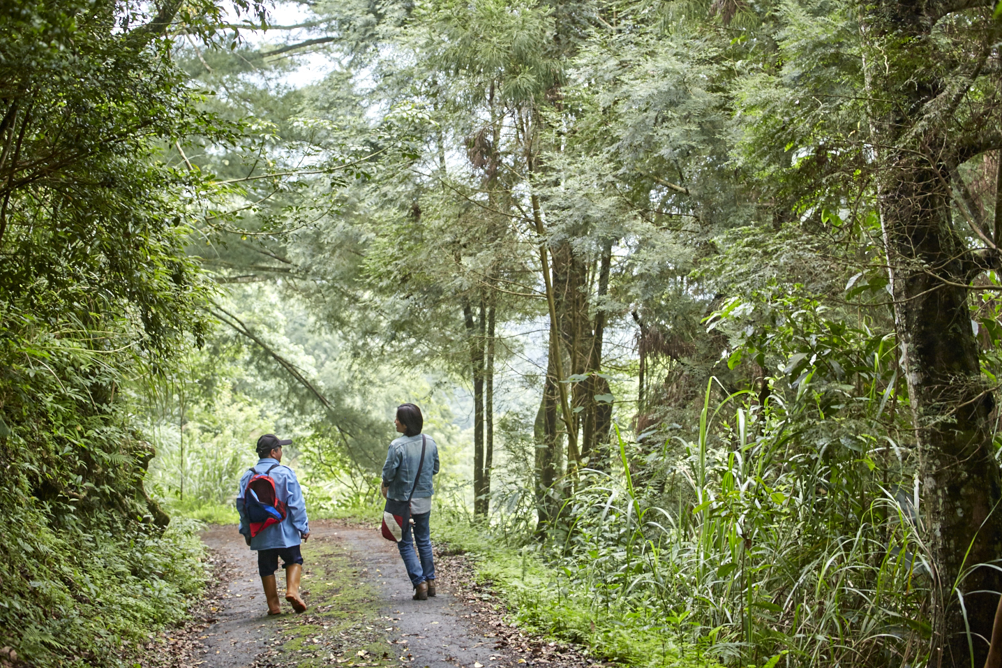 賽夏族族語主播 'okay a 'ataw hayawan：我，來自部落