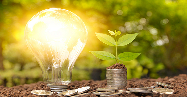 簡單居家改造 讓西曬住宅降溫7度、省下75趴電費