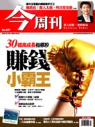 30檔高成長指標股賺錢小霸王