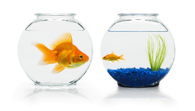 如何破除「人比人氣死人」的魔咒？ 