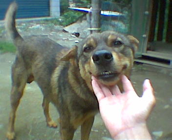 當兵讓我遇見了你