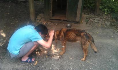 只有微笑，沒有遺憾