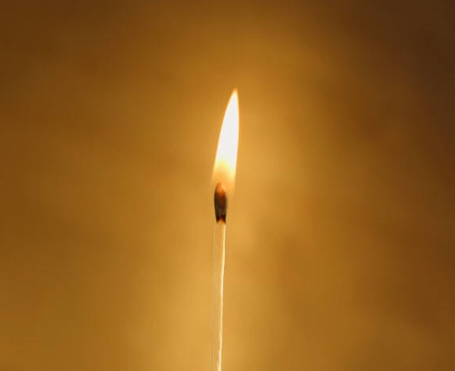 一根貪心的火柴，燒掉整片森林