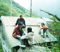 花蓮193縣道、167號部落-花東縱谷俠女蘇玉華