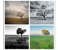 把自己捐出來吧！-- 2011年走訪101所小學回顧系列之4(資源篇)