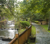 堅持到底有多難？