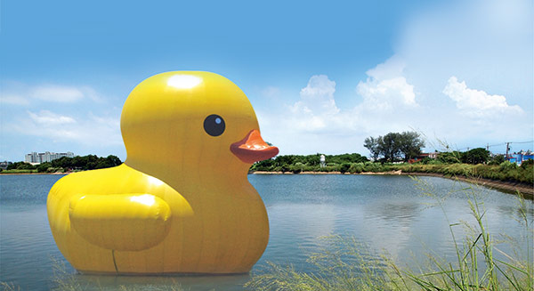 媽媽，小鴨又爆了！