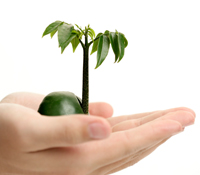 沒有另一種可能了嗎