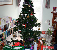 耶誕派對學做小主人