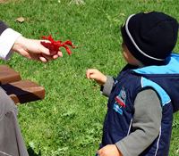 跳出成長的陷阱