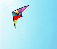 你的藉口是什麼