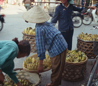 錢潮會回流新興市場嗎？