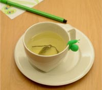 派對小蝸牛，聚會用餐新寵兒