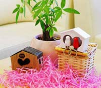 溫馨甜蜜的雀兒愛巢讓你每天都歸心似箭